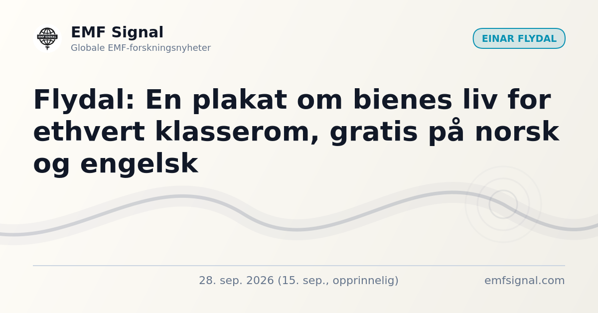 Social card